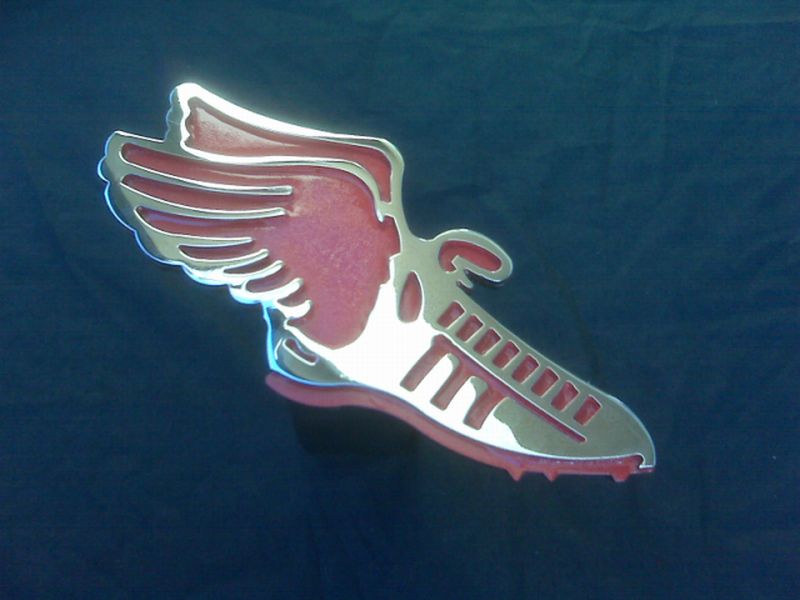 Track Shoes with Wings Hitch Cover